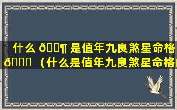 什么 🐶 是值年九良煞星命格 🐋 （什么是值年九良煞星命格的人）